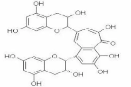 Gambar 1. Struktur Kimia Polifenol  (Surjani, 2012) 