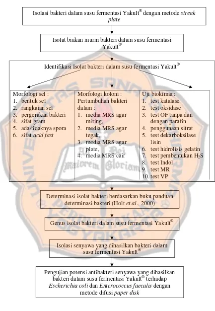 Gambar 1. Skema Kerja Penelitian 