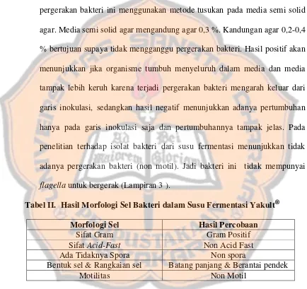 Tabel II. Hasil Morfologi Sel Bakteri dalam Susu Fermentasi Yakult®  