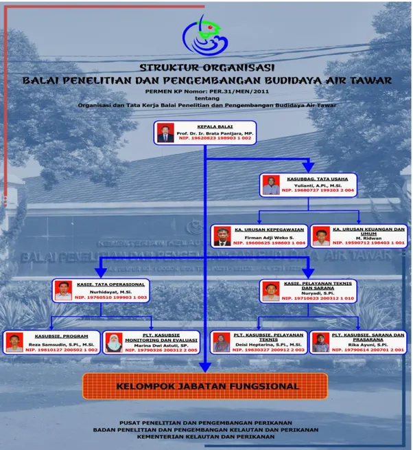 Gambar 1.1.   Struktur  Organisasi  Balai  Penelitian  dan  Pengembangan  Budidaya  Air  Tawar  (Sumber  :  Peraturan  Menteri  Kelautan  dan  Perikanan  RI  No : PER.31/MEN/2011)  
