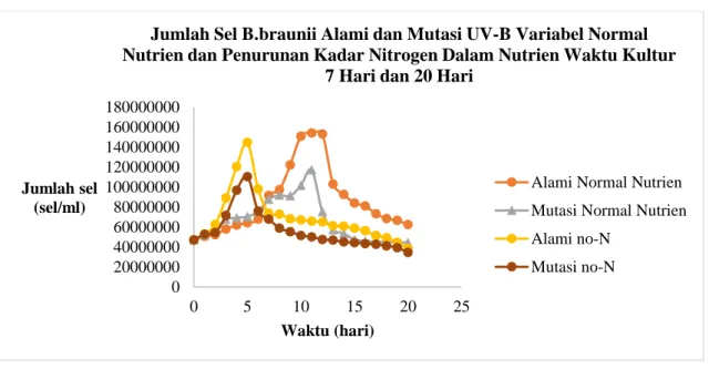 Gambar II.3 Grafik Pertumbuhan Sel B.braunii Alami dan Mutasi UV-B dengan  Variabel Normal Nutrien dan Pengurangan kadar Nitrogen Dalam Nutrien Waktu 
