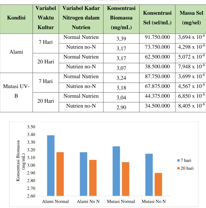 Tabel II.6 Perhitungan Konsentrasi Biomassa Variabel Kadar Nitrogen dalam Nutrien  dan Waktu Kultur 