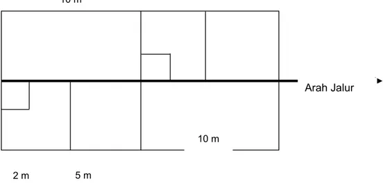 Gambar 1. Peletakan petak ukur menurut metode jalur berpetak 