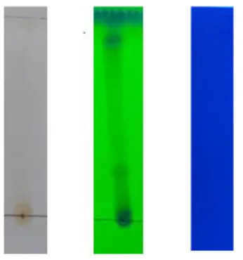 Gambar 1. Kromatogram KLT ekstrak akar di bawah sinar tampak (a), sinar UV 254 (b), sinar UV 366 (c) 
