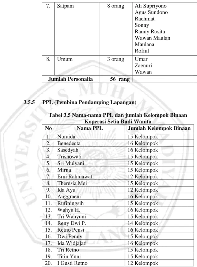Tabel 3.5 Nama-nama PPL dan jumlah Kelompok Binaan  Koperasi Setia Budi Wanita 