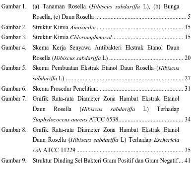 Gambar 9.  Struktur Dinding Sel Bakteri Gram Positif dan Gram Negatif ... 41 