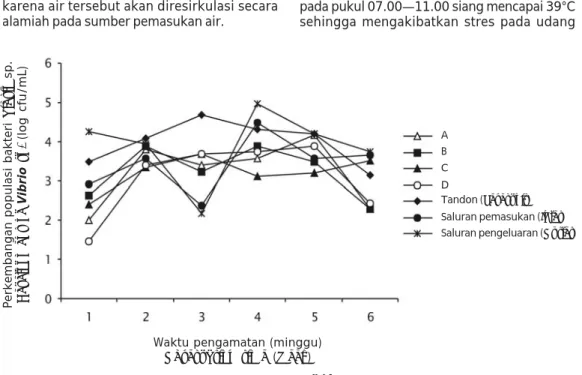 Figure 3. Development of tiger shrimp during experiment in pond sediment every two week observation