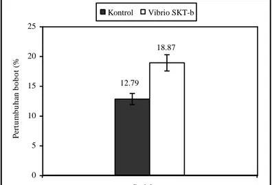 Gambar 4.  Pertumbuhan  bobot  larva  udang  windu  pada  perlakuan  kontrol  dan  Vibrio  SKT-b  selama dua minggu pemeliharaan 