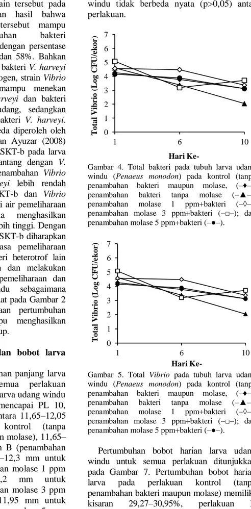 Gambar  4.  Total  bakteri  pada  tubuh  larva  udang  windu  (Penaeus  monodon)  pada  kontrol  (tanpa  penambahan  bakteri  maupun  molase,  (–♦–); 