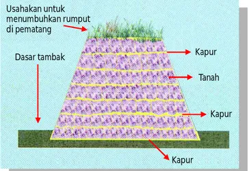 Gambar 4. Disain  pematang pada  pengapuran  berlapis tambak tanah  sulfat masam  (Tarunamulia et al., 2007)