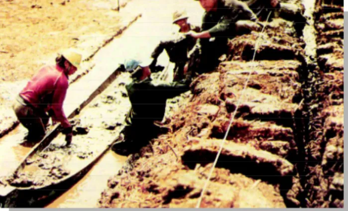 Gambar 7. Konstruksi pematang tambak tanah gambut dengan  pengisian  tanah  liat  pada  bagian tengah  pematang  untuk  mengurangi   kebo-coran  (Mustafa,  1998)