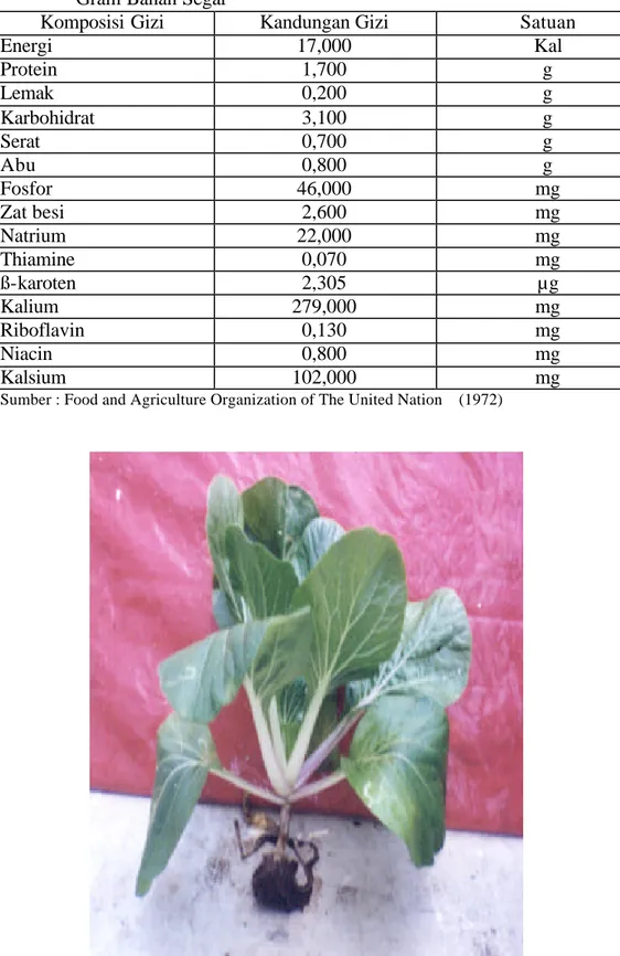 Tabel 1. Kandungan dan Komposisi Gizi Pakchoy (Brassica rapa L.) setiap 100   Gram Bahan Segar 
