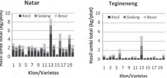 Gambar 2. Bobot umbi berukuran kecil, sedang dan besar dari klon/varietas ubi jalar   yang di evaluasi di Natar dan Tegineng, MK I 2010