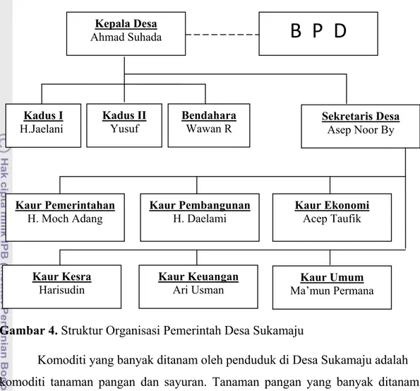 Gambar 4. Struktur Organisasi Pemerintah Desa Sukamaju 