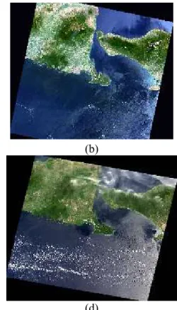 Gambar 2. Tampilan Citra Hasil Kalibrasi Radiometrik dan Koreksi Atmosfer dengan metode FLAASH   (a) Tahun 2013, (b) Tahun 2014, (c) Tahun 2015 dan (d) Tahun 2016