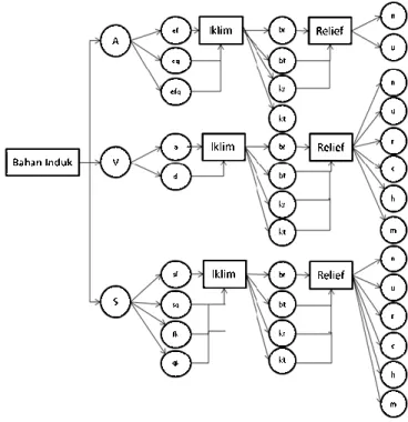 Figure 5.  Influence  of  relief  to  the  soil  characteristics 