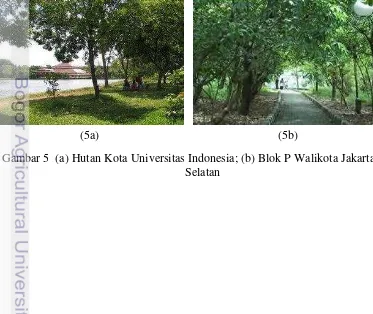 Gambar 5  (a) Hutan Kota Universitas Indonesia; (b) Blok P Walikota Jakarta 