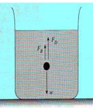 Gambar 2.15 Gaya-gaya yang bekerja pada sebuah bola yangdijatuhkan dalam fluida