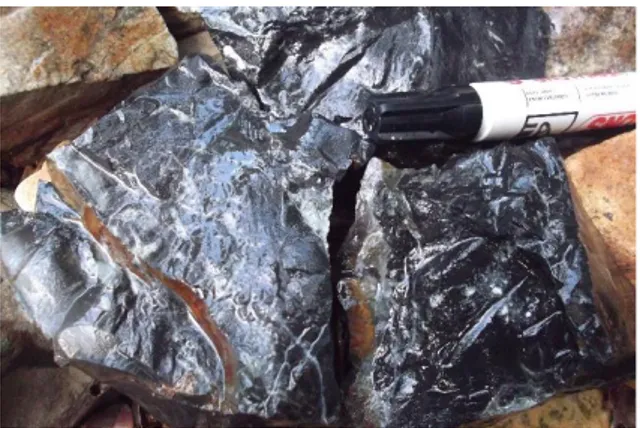 Gambar 5. Float batuan tufa terubah  dengan mineralisasi pirit/arsenopirit,  kalkopirit tipe impregnation di Sungai 