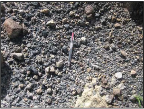 Foto 1. Pengambilan conto bijih mangan lepas  di daerah Kambilo, mangan nampak  lepas-lepas dan dibawahnya tersebar batuan volkanik 