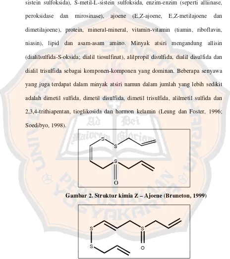 Gambar 3. Struktur kimia E – Ajoene (Bruneton, 1999) 