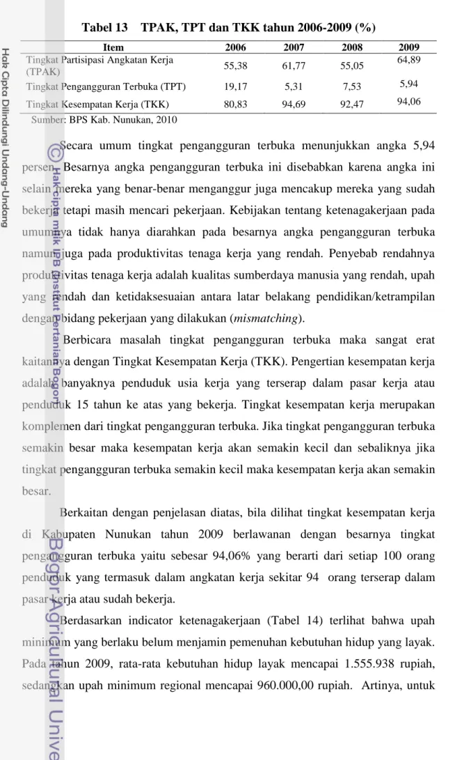Tabel 13  TPAK, TPT dan TKK tahun 2006-2009 (%) 