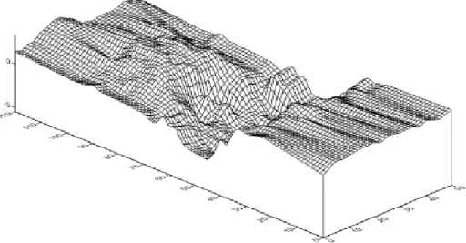 Gambar 2. Pola gerusan dengan tirai I lapis pada  t = 900 dtk pada Q = 0,0178  m 3 /dtk 