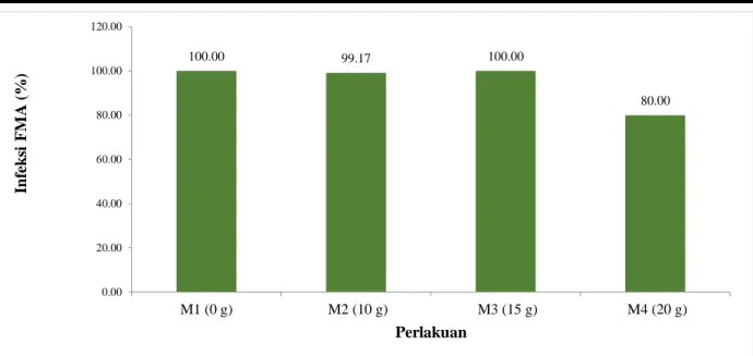 Gambar 4. Rata-rata Infeksi FMA (%) Akar Tanaman Kedelai dengan Aplikasi Mikoriza dan kompos