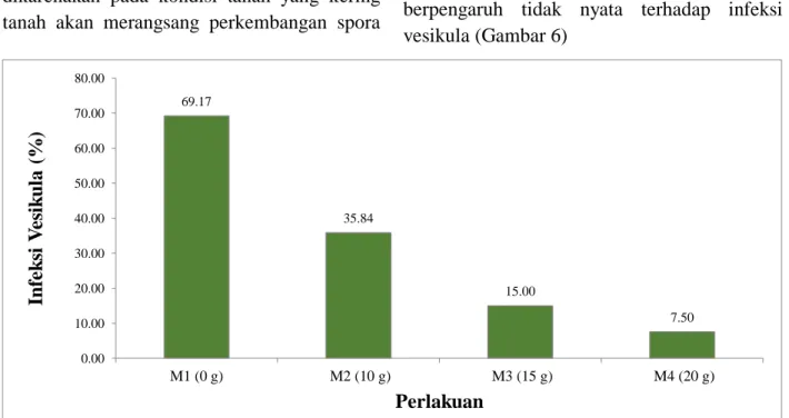 Gambar 6. Rata-rata infeksi vesikula (%) Akar Tanaman Kedelai dengan Aplikasi Mikoriza dan kompos
