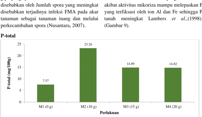 Gambar 9. Kadar P-total Tanah (mg/100 g) dengan Aplikasi Mikoriza dan Kompos. 