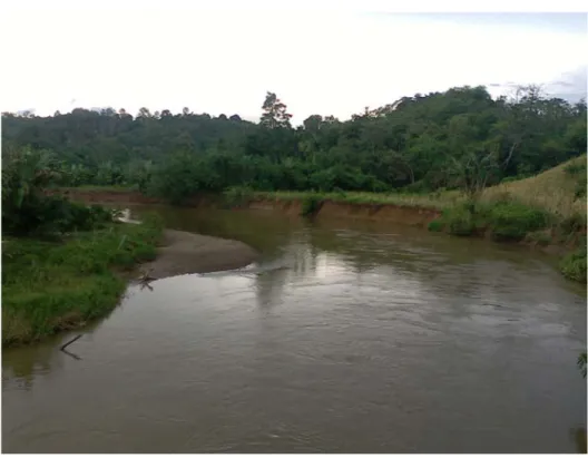 Gambar 2. 9   Gerusan Umum (General Scour) di Tikungan Sungai (Lokasi: Sungai Simpang  Aur-Lemau, Kabupaten Bengkulu Utara, 3 April 2008) 