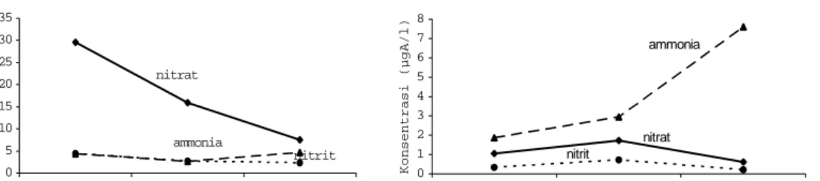 Gambar 2. Konsentrasi senyawa nitrogen di dalam dan luar Sungai Cisadane, 2003 - 2005 
