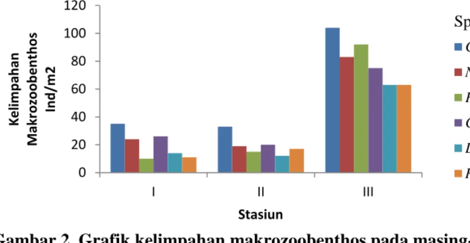 Gambar 2. Grafik kelimpahan makrozoobenthos pada masing-masing stasiun  Keragaman (H’), Dominansi (C) dan Keseragaman (E) 