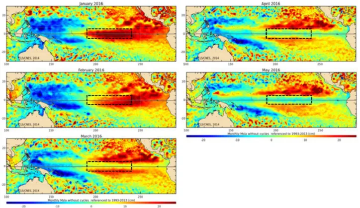 Gambar 6. Anomali tinggi muka laut bulanan di Samudera Pasifik dan sekitarnya tahun 2016