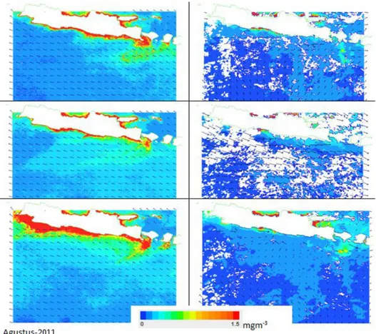 Gambar 4 . Perbandingan pola distribusi klorofil-a dari MODIS dan angin dari ASCAT pada saat monsun Australia  (JJA) dan monsun Asia (DJF) 