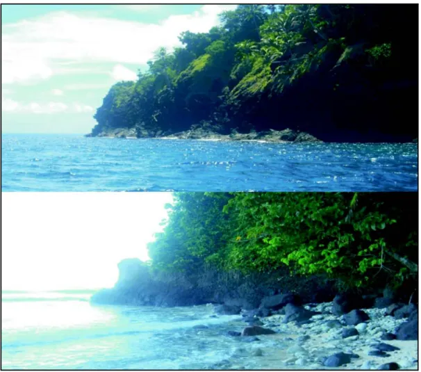 Gambar 8. Pantai Mangindano yang bertebing terjal dan tersusun batuan beku terletak di bagian utara Pulau Marore 