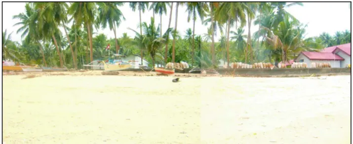 Gambar 10. Pantai Kampung Marore terletak di bagian selatan Pulau Marore merupakan tipe pantai berpasir