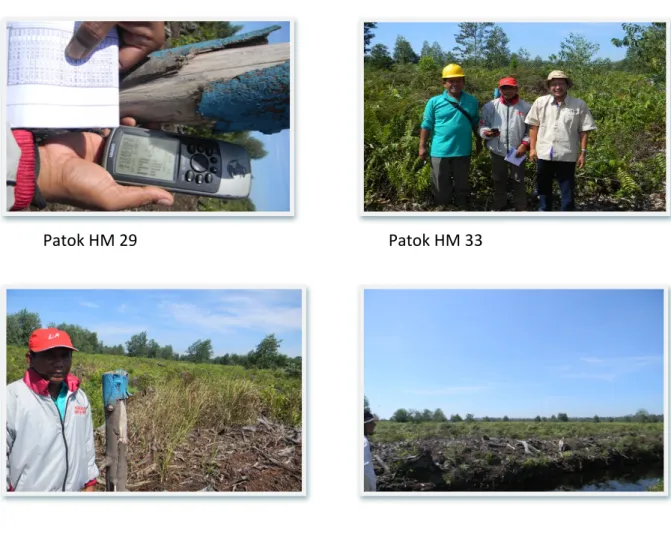 Gambar 4. Pemandangan visual dari batas TK di BDL 