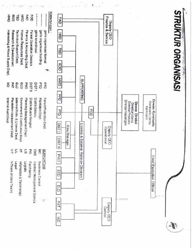 Gambar 1.  Struktur Organisasi PT. SURYA HUTANI JAYA 