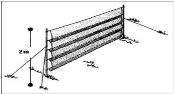 Gambar II.9.  Contoh pemasangan jala kabut (miss net) yang dibentangkan pada  jalur lintasan burung