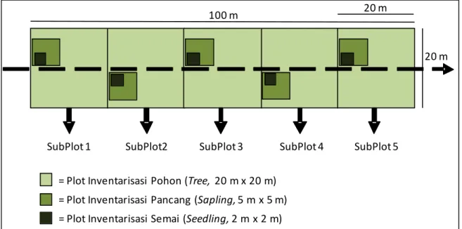 Gambar II.3.  Desain pembuatan plot vegetasi dengan ukuran 20x100 m; petak  ukur  inventarisasi  untuk  kelas  pohon  20x20  m,  pancang  5x5  m,  dan semai 2x2 m