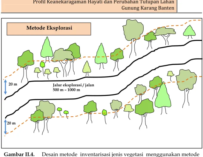 Tabel II-3.  Kategori pohon dalam kegiatan survei dan identifikasi vegetasi. 