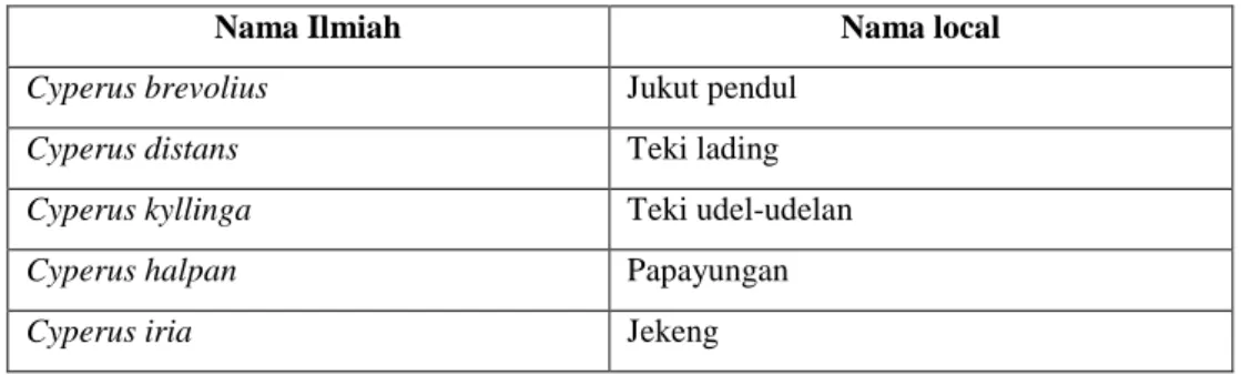 Tabel 2.4.2. Gumla teki-tekian 