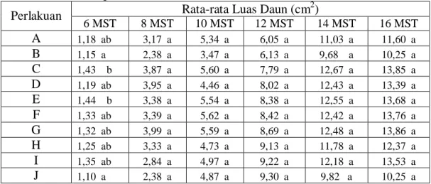 Tabel 2. Pengaruh Media Campuran Tanah Lapisan Bawah (subsoil) dan Kompos  terhadap Luas Daun 