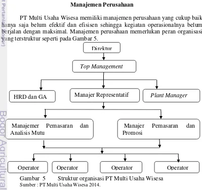 Gambar  5  Struktur organisasi PT Multi Usaha Wisesa   