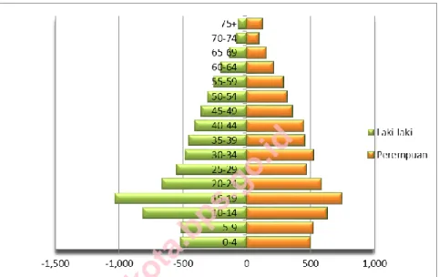 Grafik 3.1  Piramida Penduduk Kecamatan Pelayangan Tahun 2014  Graph 3.1   Population Pyramid of Pelayangan District, 2014 