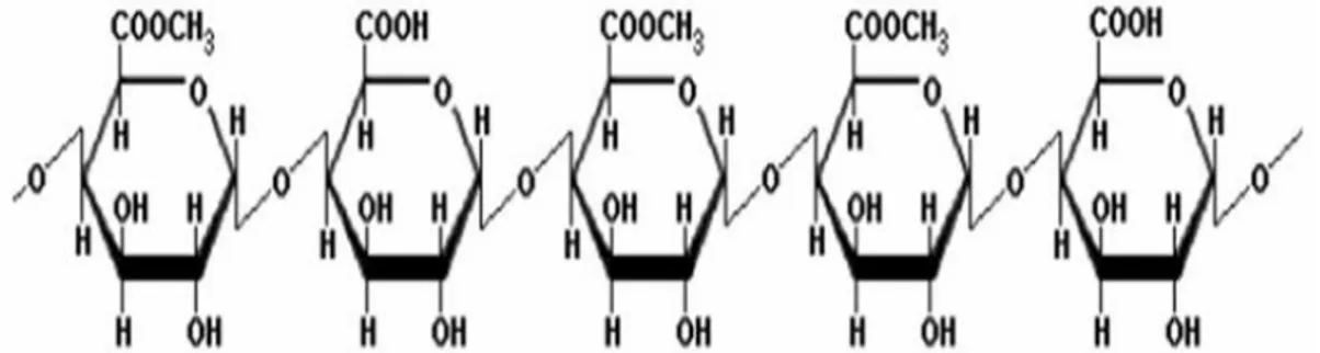 Gambar I.3. Struktur Kimia Asam Poligalakturonat 