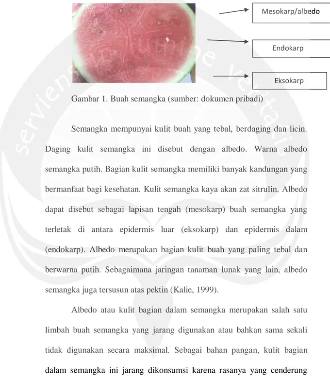 Gambar 1. Buah semangka (sumber: dokumen pribadi) 