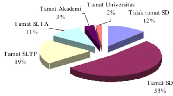 Gambar 11.  Persentase  penduduk  menurut  tingkat  pendidikannya  di  Kecamatan  Sumberjaya pada tahun 2007 