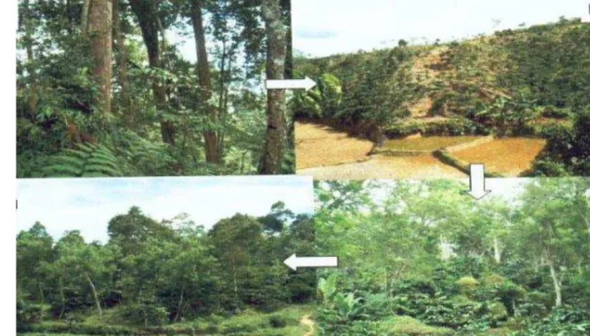 Gambar 9. Penggunaan lahan di Kecamatan Sumberjaya,  Lampung   (foto: Bambang Soeharto) 